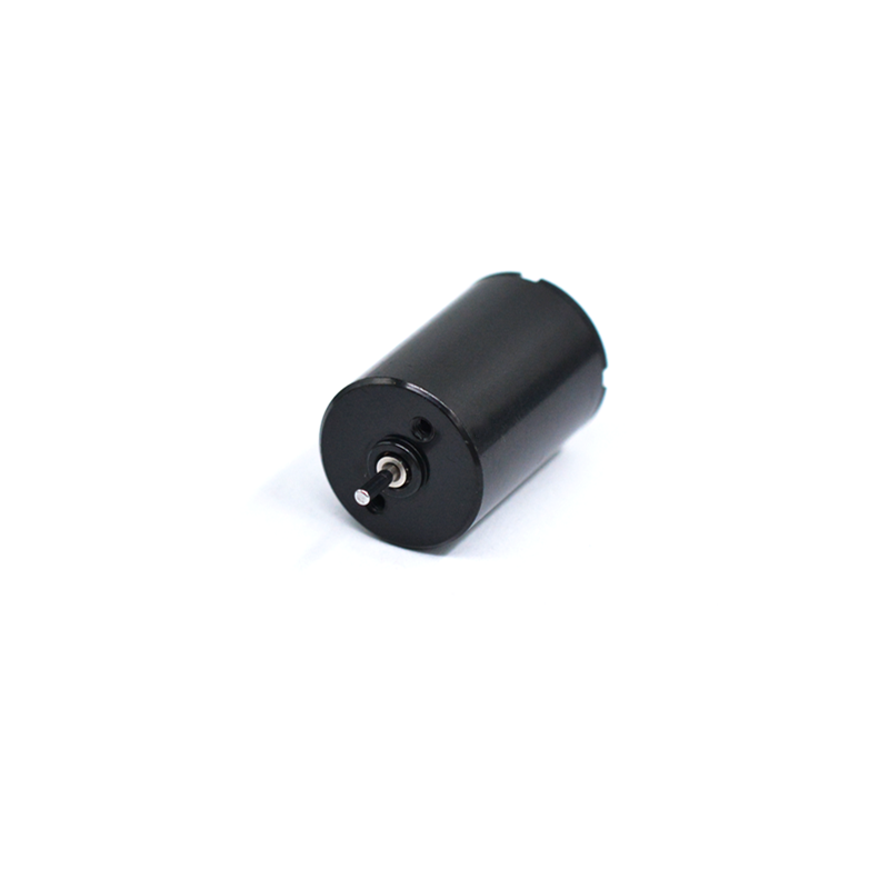 1725 Miniature Hollow Cup DC Motor for Beauty Instruments and Massage Stick